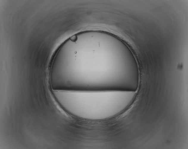 X0000091011517200708021355