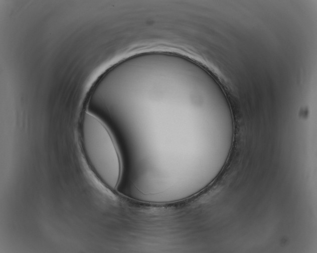 X0000091011518200708021355