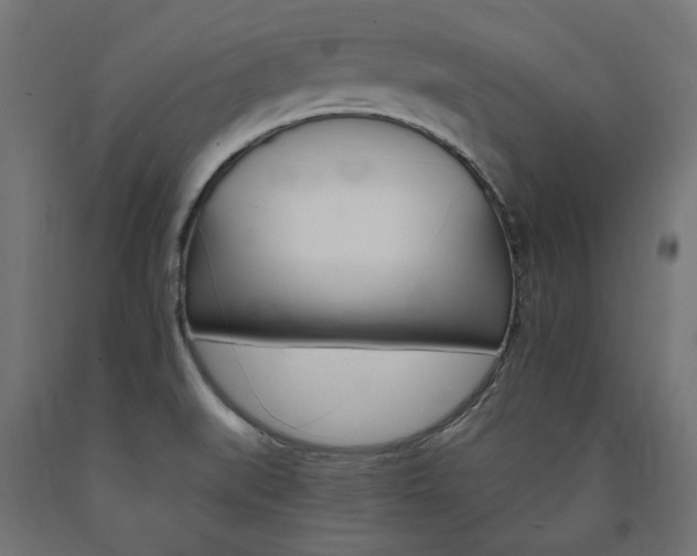 X0000091011519200708021355