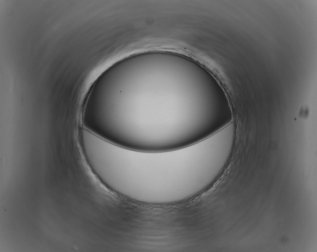 X0000091011520200708021355