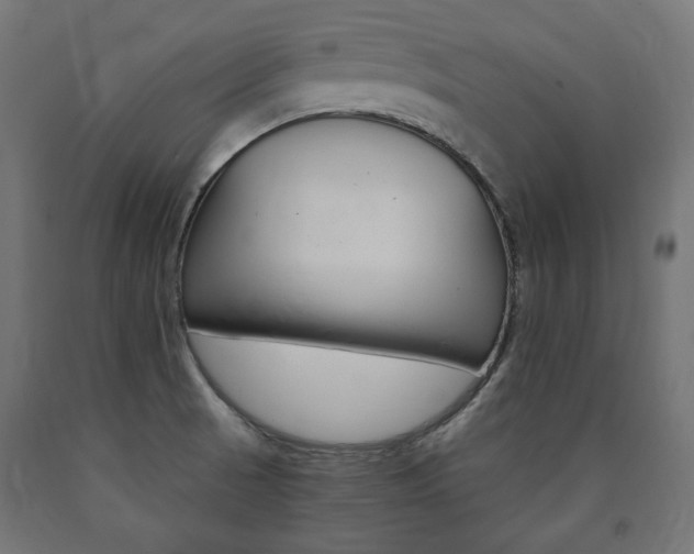 X0000091011521200708021355