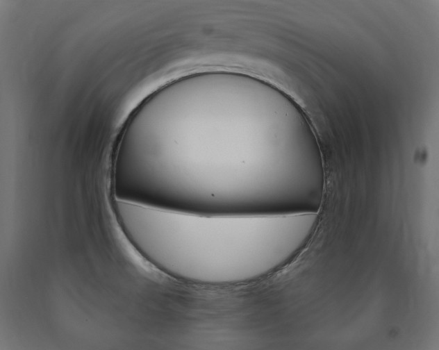 X0000091011523200708021355