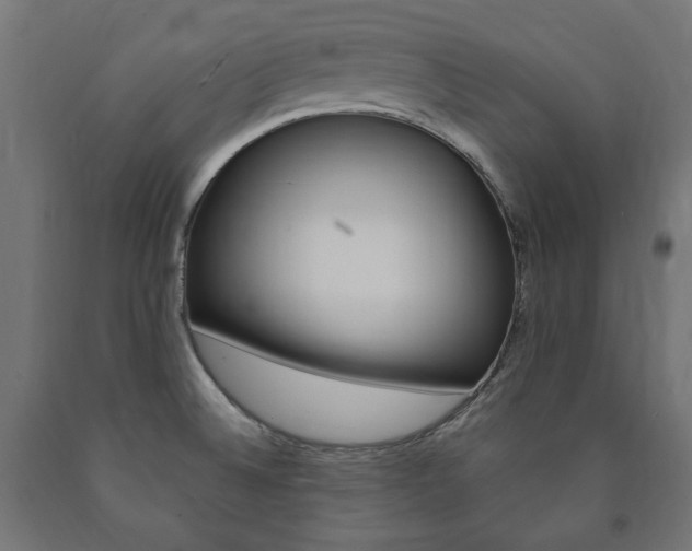 X0000091011524200708021355