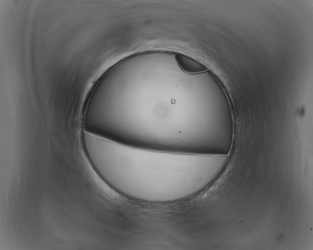 X0000091011525200708021355