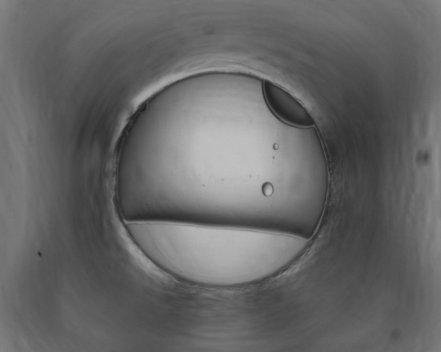 X0000091011526200708021355