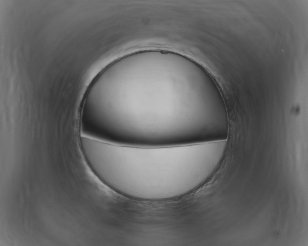 X0000091011527200708021355