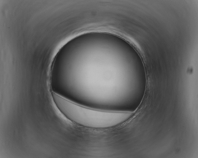 X0000091011528200708021355