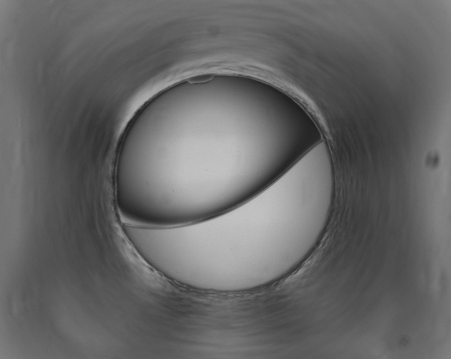 X0000091011530200708021355