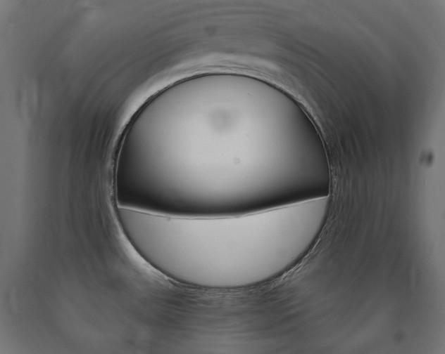 X0000091011531200708021355