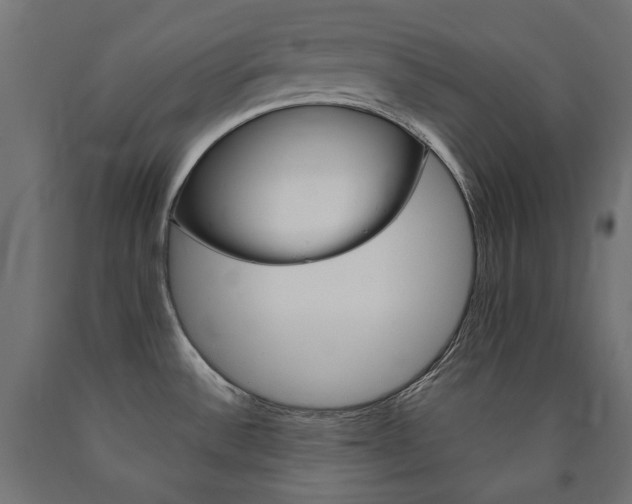 X0000091011532200708021355