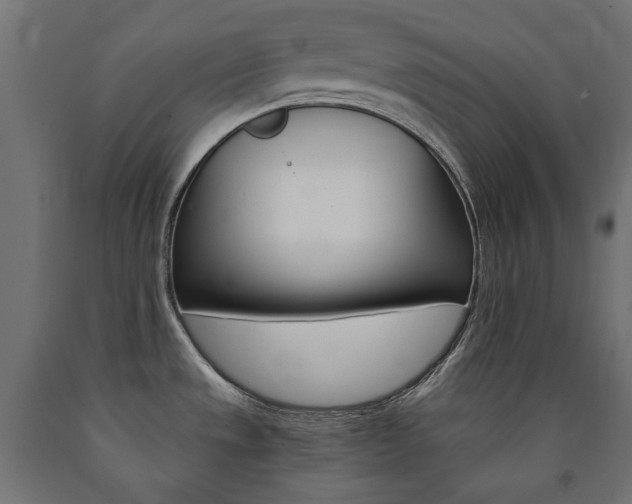 X0000091011533200708021356