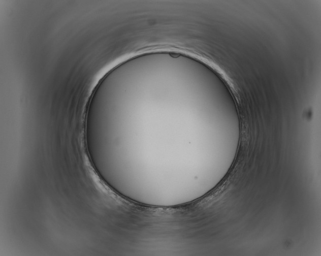 X0000091011534200708021356