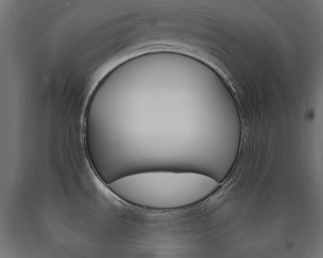 X0000091011535200708021356