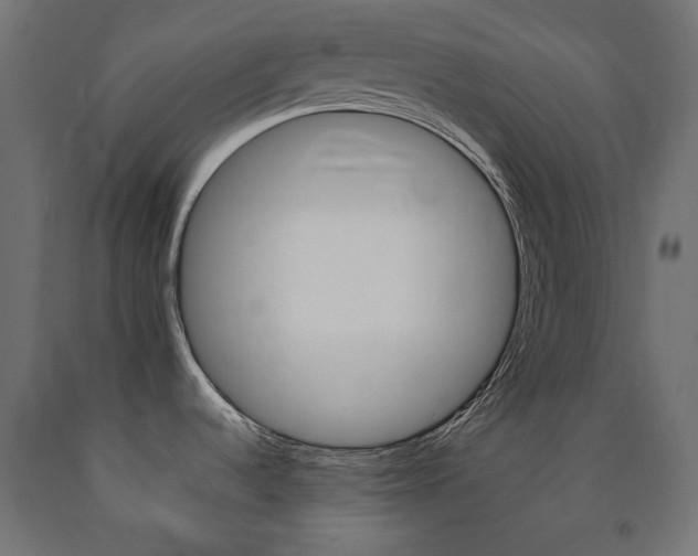 X0000091011536200708021356