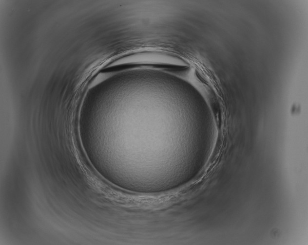 X0000091010001200708021559
