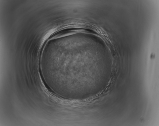 X0000091010003200708021559