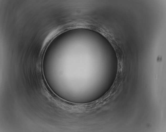X0000091010004200708021559