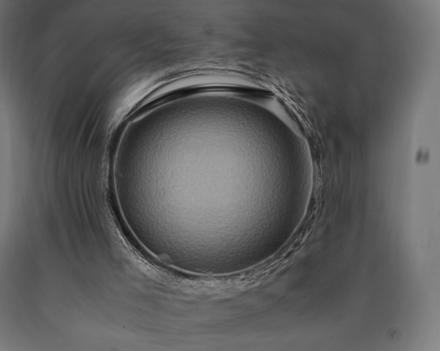 X0000091010005200708021559
