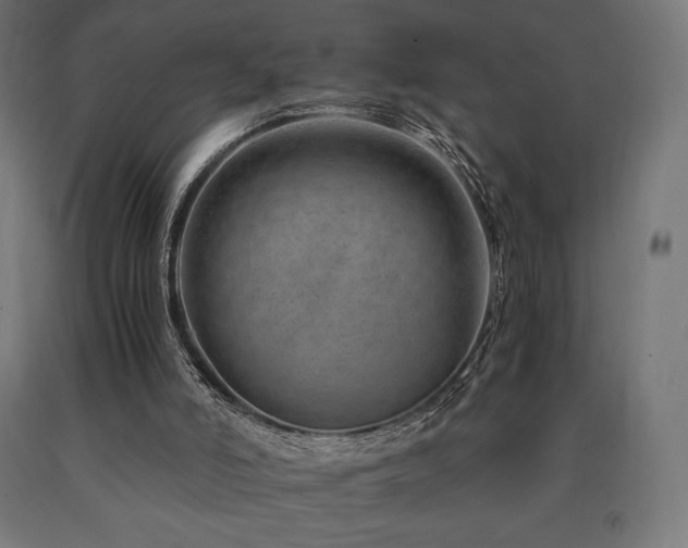X0000091010006200708021559