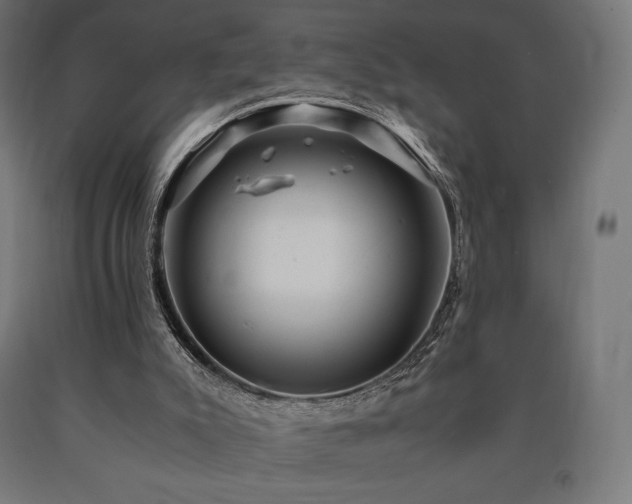 X0000091010007200708021559