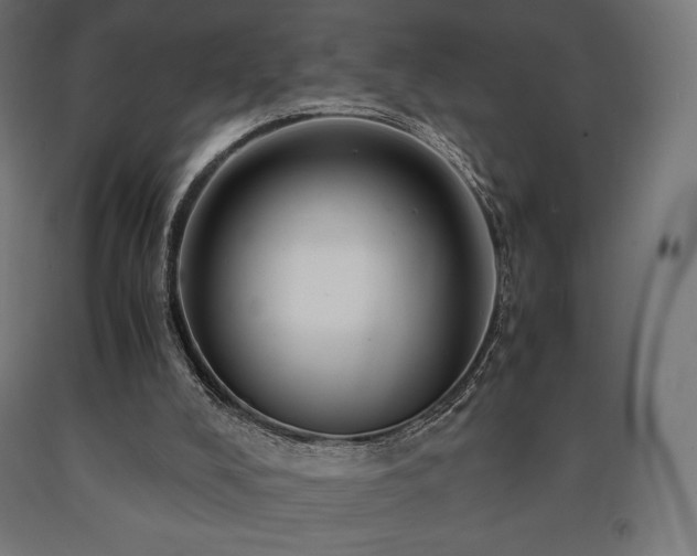 X0000091010008200708021559