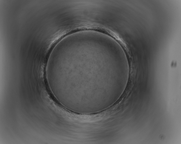 X0000091010010200708021559