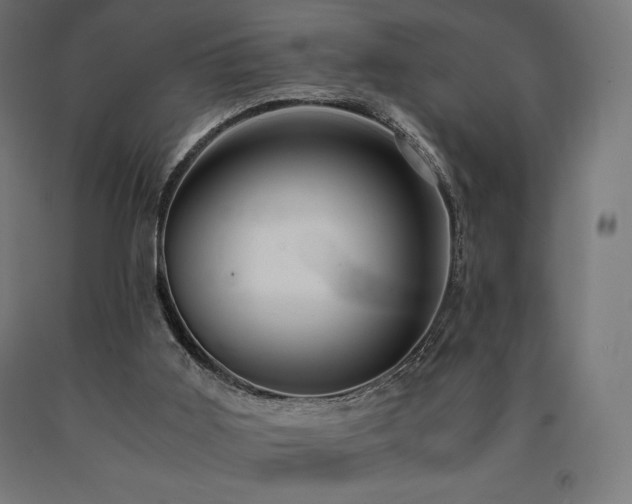 X0000091010011200708021559