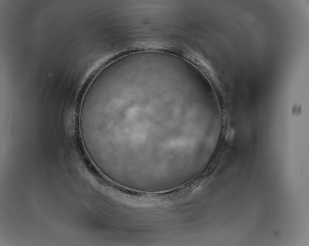 X0000091010012200708021559