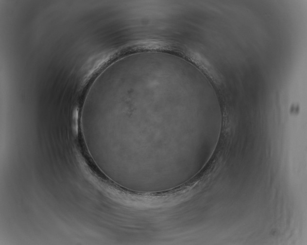 X0000091010014200708021559