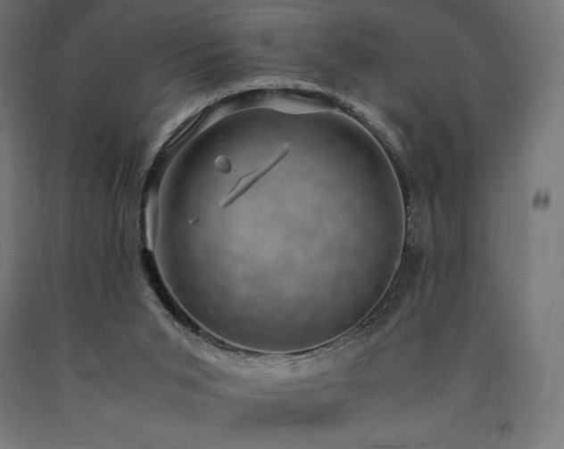 X0000091010015200708021559