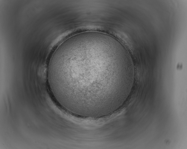 X0000091010016200708021559