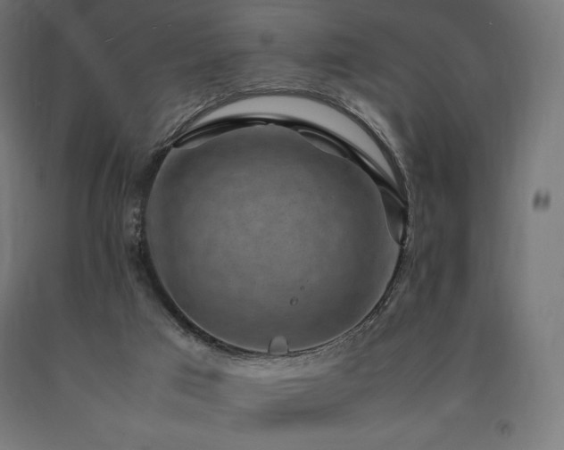 X0000091010017200708021559