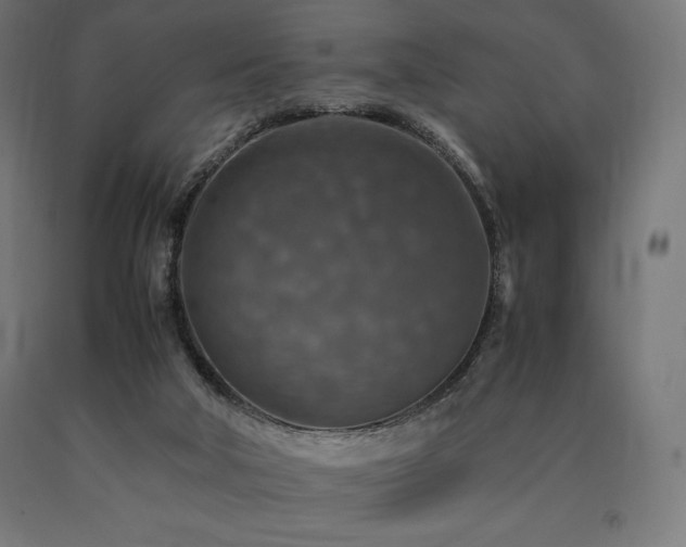 X0000091010018200708021559