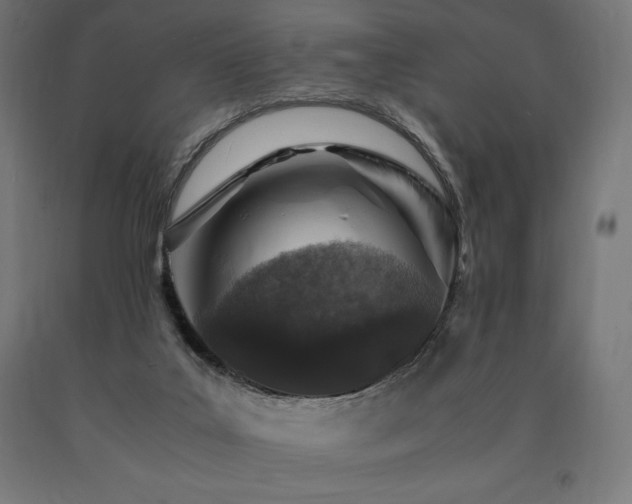 X0000091010019200708021559