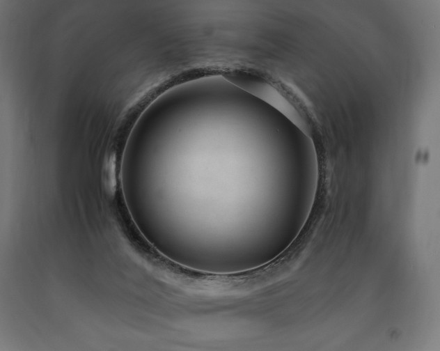 X0000091010020200708021559