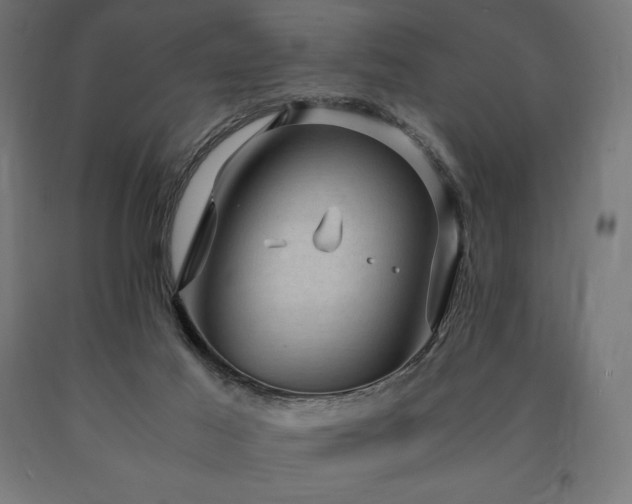 X0000091010021200708021559