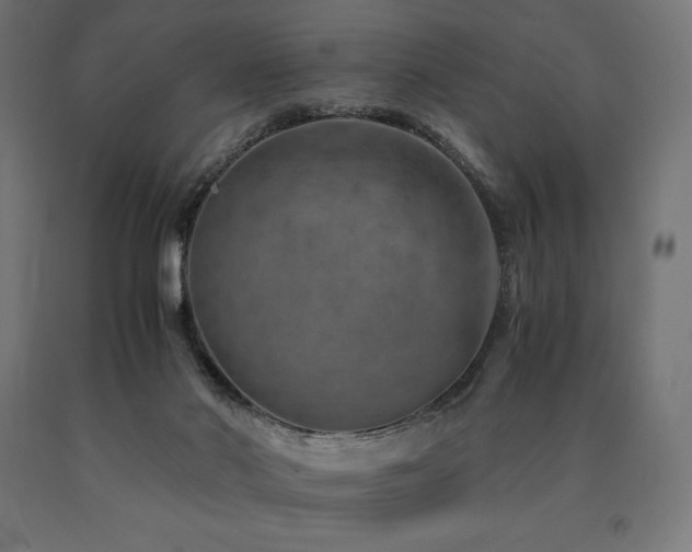 X0000091010022200708021559