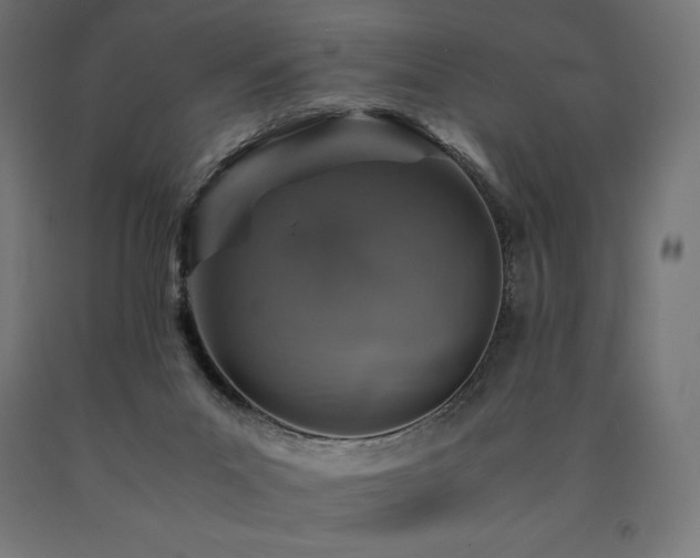 X0000091010023200708021559