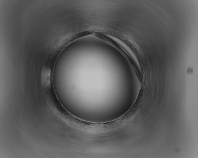 X0000091010024200708021559
