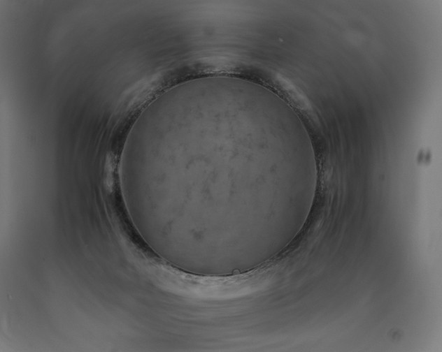 X0000091010026200708021559