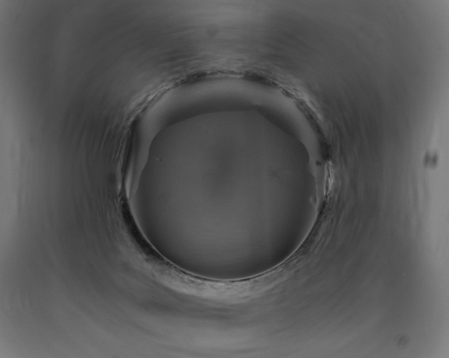 X0000091010027200708021559