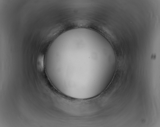 X0000091010028200708021559