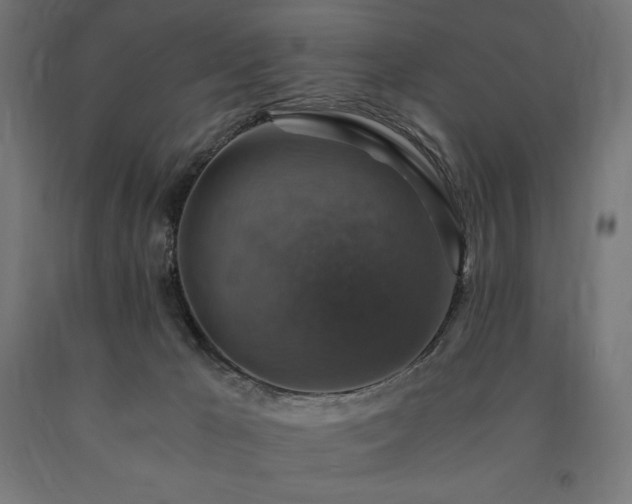X0000091010029200708021558