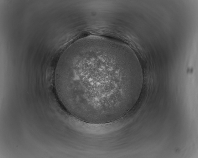X0000091010030200708021558