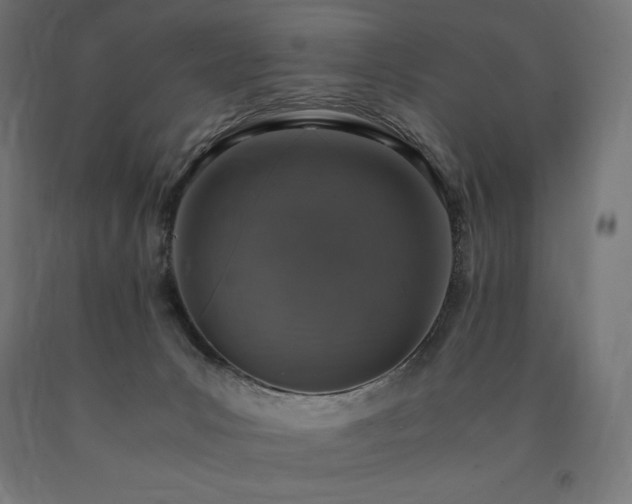 X0000091010031200708021558