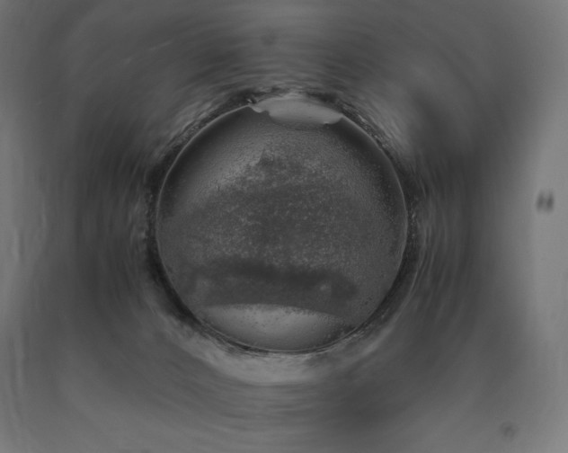 X0000091010032200708021558