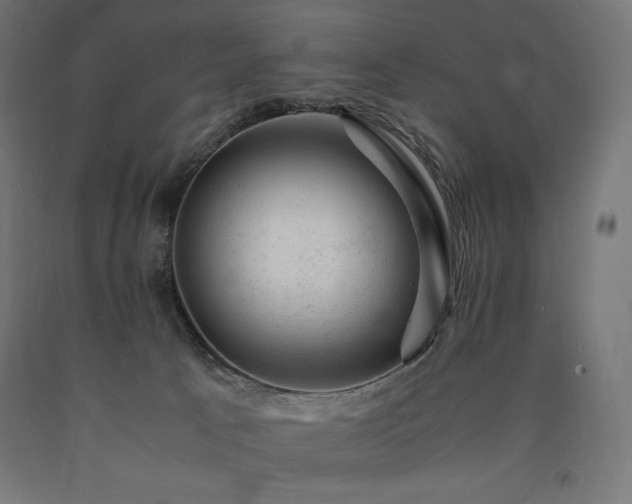 X0000091010033200708021558