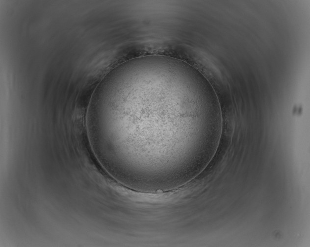 X0000091010034200708021558