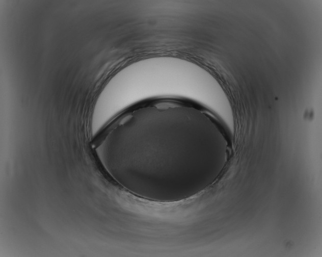 X0000091010035200708021558
