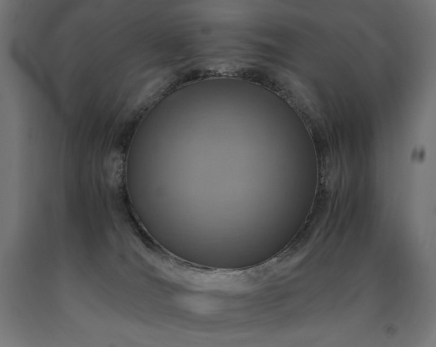 X0000091010036200708021558